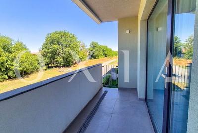 AX1068 Dumbravita, Bulevardul Petre Tutea, Prima Inchiriere - 18