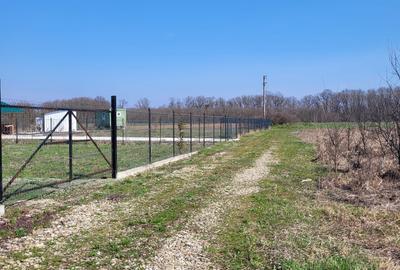 Teren Construcții intravilan de 1346 mp, în Izvorani - 4