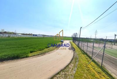 Teren Construcții intravilan de 13602 mp, în Dragomirești-Vale - 9