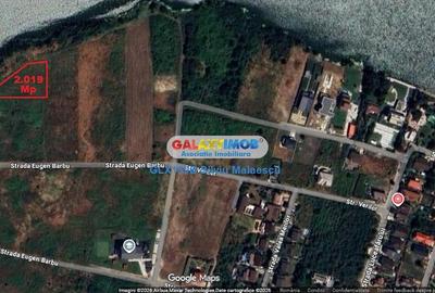 Teren Construcții intravilan de 2019 mp, în Mogoșoaia - 6