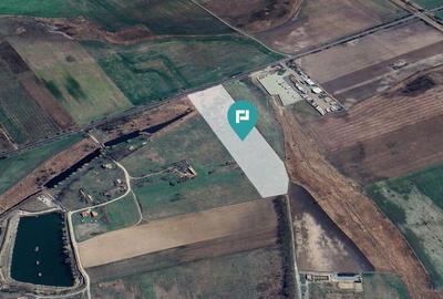 Teren compact de 50.000 mp la drum principal Teren compact de 50.000 mp la drum principal - 4