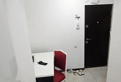 INEL 2 . GARSONIERA DECOMANDATA CU CENTRALA GAZE - 2