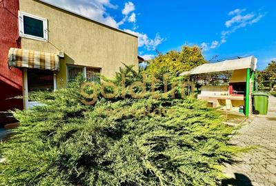 VALU LUI TRAIAN/CASA INDIVIDUALĂ/CURTE GENEROASA/SUPERBA/STRADALA/ZONA CENTRALA - 5