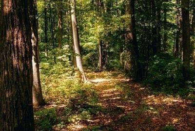 Teren în Trafic Greu - 1