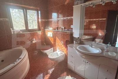 Casă cu 6 camere cu Teren 3982 Mp în Remetea Mare - 14