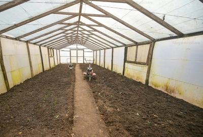 Vanzare ferma agricola Negru Voda - Constanta cu 240 hectare teren si utilaje - 21