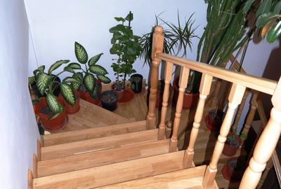 Nicolae Titulescu,calea Grivitei,semistradal,zona superba! - 9