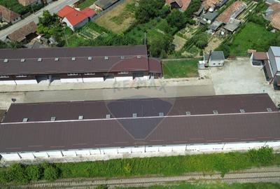 Spa?iu industrial de vanzare in Sangeorgiu de Padure... - 18