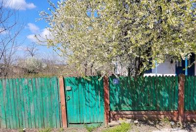 Casă cu Teren 5000 Mp în Ulmu - 3