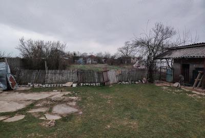 Casă cu Teren 3000 Mp în Mircea Vodă - 7