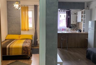 Apartament cu 2 camere decomandat în Olteni - 7