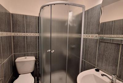 Soarelui-aproape de Sud Plaza - 11