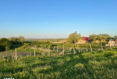 Teren de 3100 mp, în Bălțați - 5