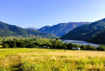 250 Ha TEREN PADURE pe VALEA OLTULUI, in Balota- Racovita, jud. Valcea, acces DE - 14
