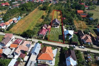 Casă cu 5 camere cu Teren 2351 Mp în Central - 5