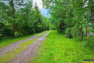 In cartea de povesti a Pietrei Craiului, ansamblu turistic functional, in Plaiul Foii - 5