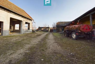 Teren construcție, în Periam - 12
