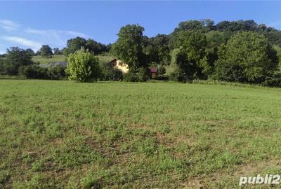 Teren de 20000 mp, în Sighișoara - 3