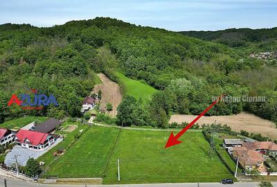 AZURA Imobiliare - Teren Babana Central la Asfalt - 8