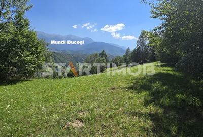 Teren extravilan Bran Podul Simonului - 3