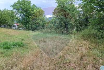 Teren de vanzare 990mp in Barzava, jude?ul Arad - 5