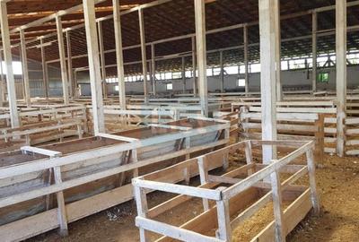 Casă cu 3 camere cu Teren 24281 Mp în Ciortea - 7
