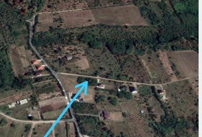 Spațiu comercial, de 1,280 mp, în Păulești - 2