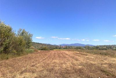 Teren de 5500 mp, în Central