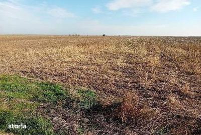 Teren de 8933 mp, în Central - 1