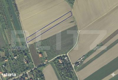 Teren de 4122 mp, în Viile Satu Mare - 1