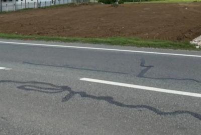 Teren de 580 mp, în Pielești