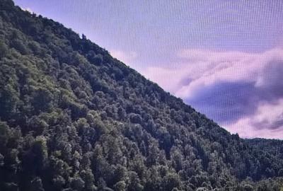 Teren de vanzare Lepsa-Gresu, 55000 mp - 5