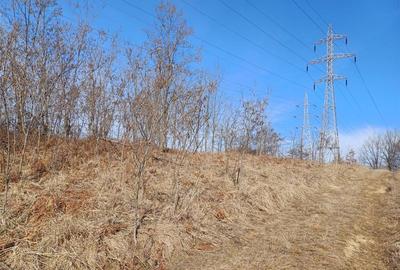 Resita, Teren Extravilan, Pretabil pentru Fotovoltaice, 17265 Mp., 2 Euro Mp., Km. 8 - 10