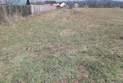 Teren de 5500 mp, în Ruși-Ciutea - 13