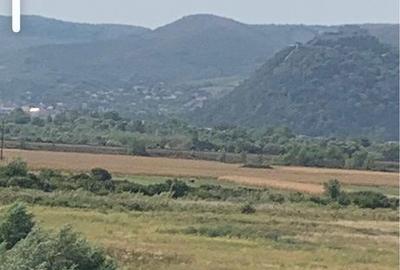 Spațiu comercial, în Bălata