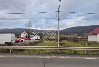 Teren Construcții intravilan de 5800 mp, în Șieu-Măgheruș - 1
