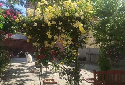 Casă individuală cu 6 camere cu Canalizare în Dristor - 18