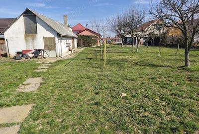 Casă cu 3 camere cu Teren 2000 Mp în Cihei - 6