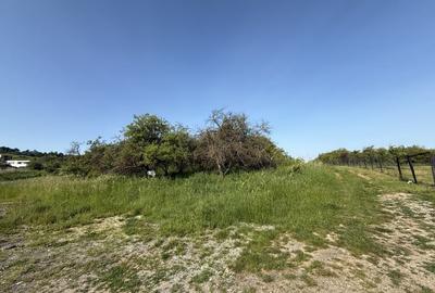 INVESTITIE! Teren extravilan - 1050 mp - zona Wonderland , Cluj! - 3