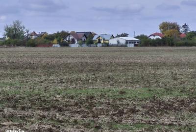 Spațiu comercial, în Balotești - 9