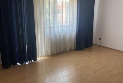 Vila individuala 7 camere de vanzare/inchiriere Iancu Nicolae - 11