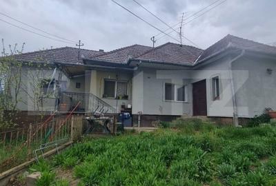 Casă cu 3 camere cu Teren 5520 Mp în Baciu - 2