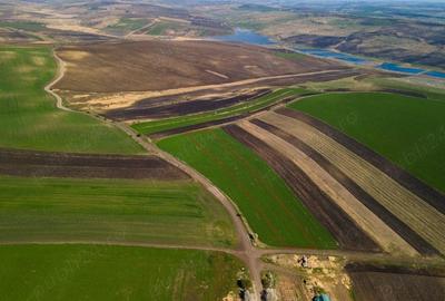 Teren de 8000 mp, în Copăceni - 3