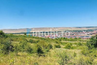 Teren Intravilan, 19400mp, zona locuinte colective/blocuri, zona Terra Floresti Teren Intravilan, 19400mp, zona locuinte colective/blocuri, zona Terra Floresti - 8