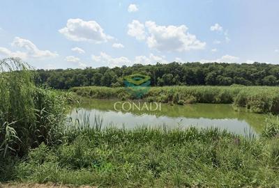 Teren 800mp Vadu Anei | Branesti | Langa Lac si Padure | Rezidential - 7