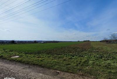 Spațiu comercial, în Valu lui Traian - 6