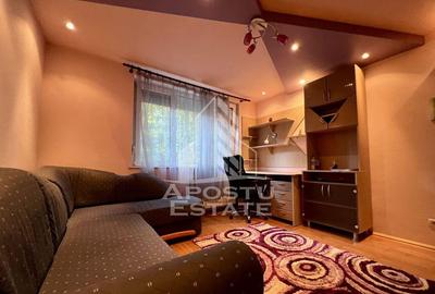 Apartament cu 2 camere semidecomandat în Podgoria - 5