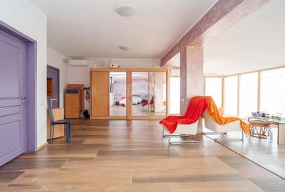 Casa / Vila cu 10 camere, de vanzare. Todireni, Botosani. - 24