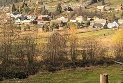 Teren comuna Carlibaba, jud. Suceava 8170mp - 2