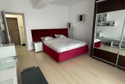 Garsoniera-  13 MP Terasa - OZANA - 5